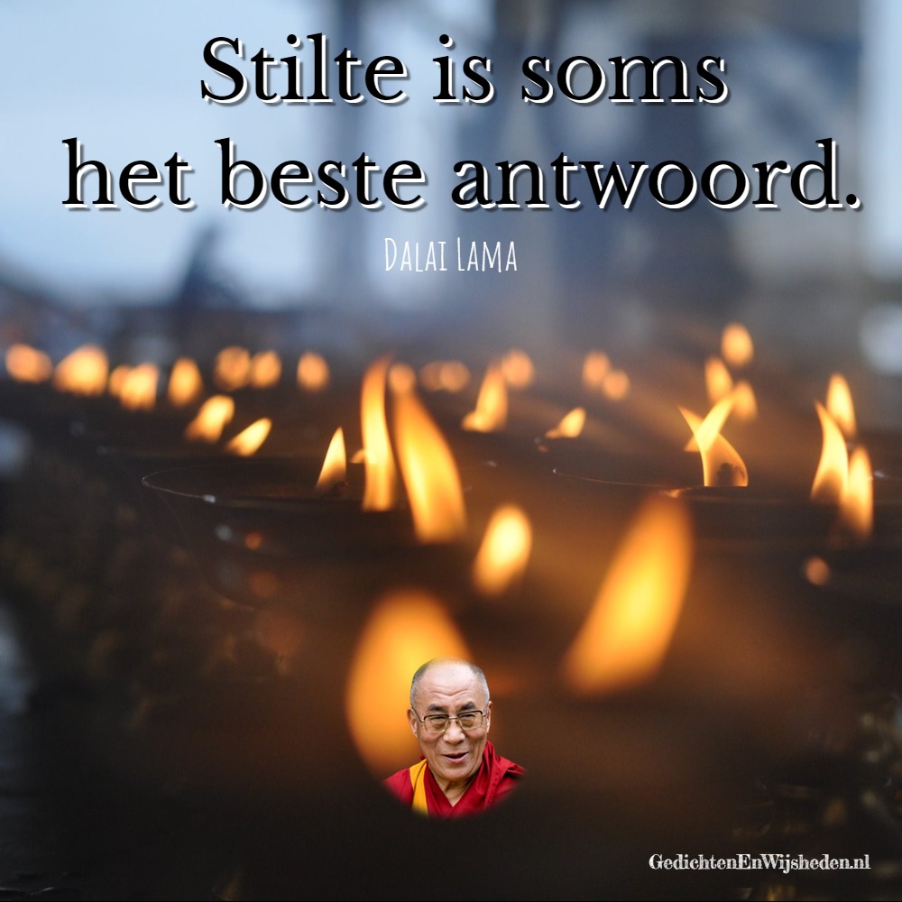 Uitgelezene GedichtenEnWijsheden.nl - Spreuk: Dalai Lama - Stilte is soms het WC-73
