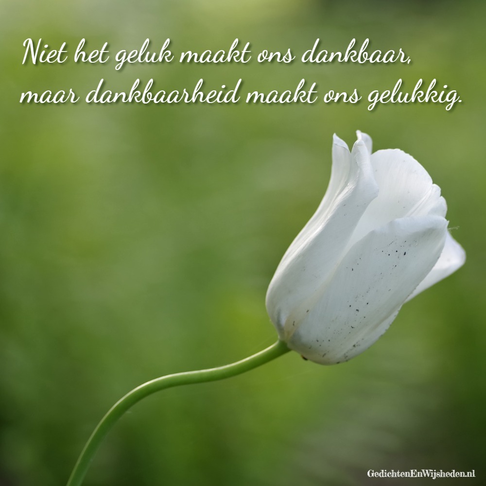 Verbazingwekkend GedichtenEnWijsheden.nl - Spreuk: Niet het geluk maakt dankbaar EH-26